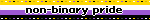 Non-binary pride