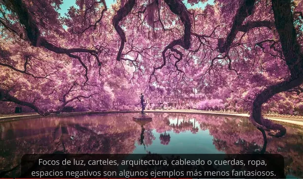 Mi foto