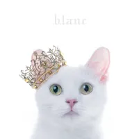 Aimer - Best selection blanc