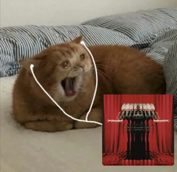 Aurora meme