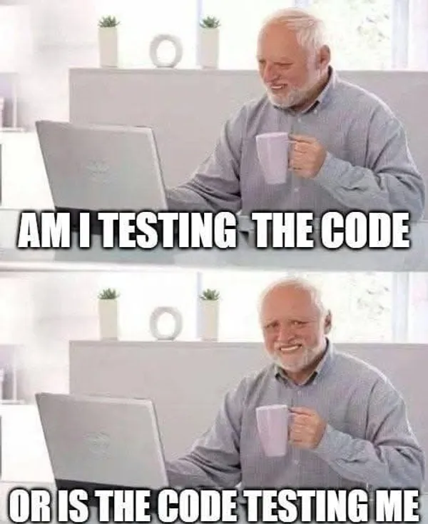 Did I ask you Meme