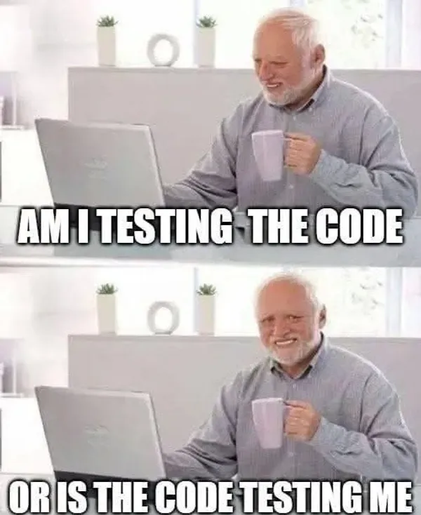 Did I ask you Meme
