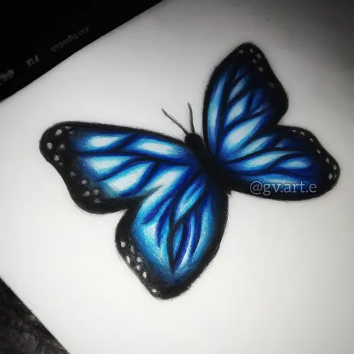 Mariposa