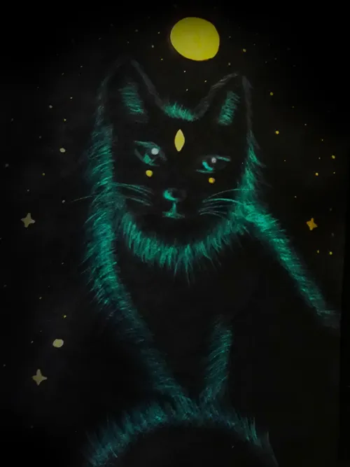 Fox in the Night