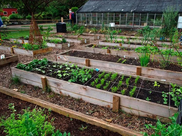 La mierdificación de internet y los jardines digitales como alternativa