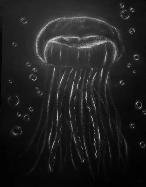 Medusa brillante