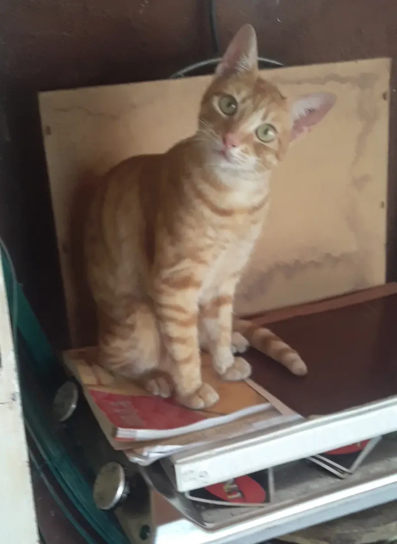 Camera roll 11