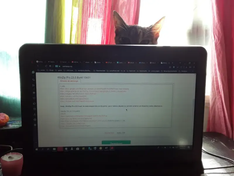 Camera roll 17
