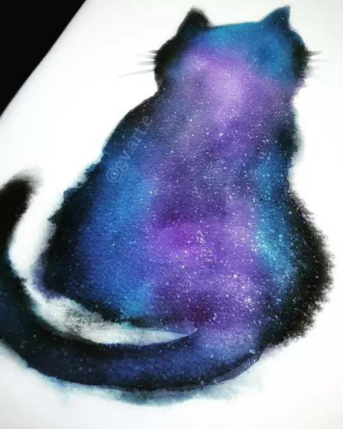 Star kitties
