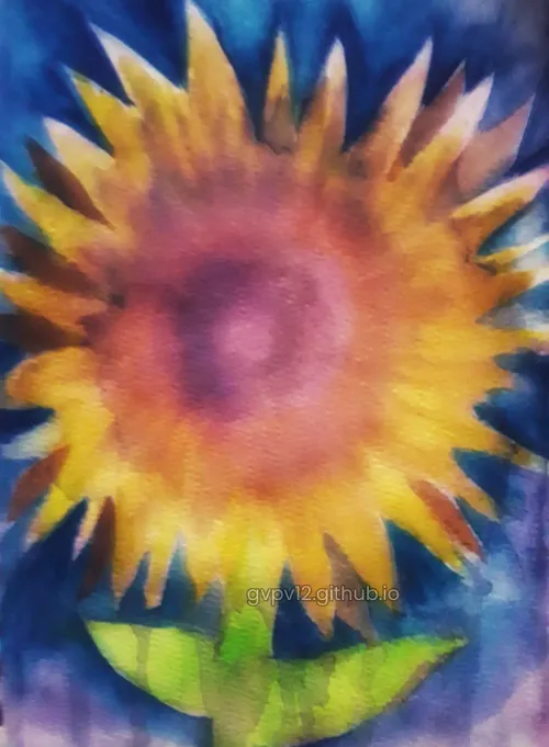 Sunflower tears